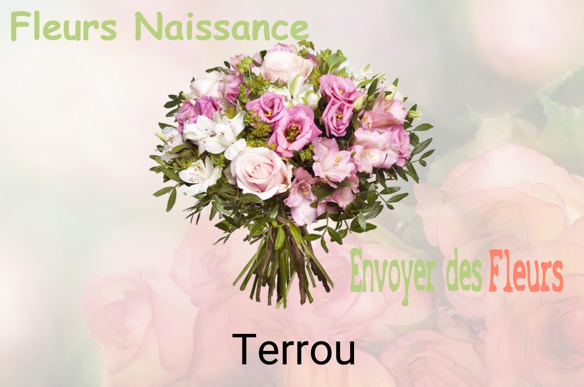 Bouquet de fleurs de naissance livré à Terrou